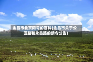 金昌市北京限号的百科(金昌市关于公园路和永昌路的禁令公告)