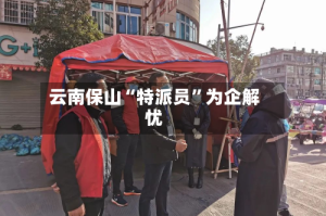 云南保山“特派员”为企解忧
