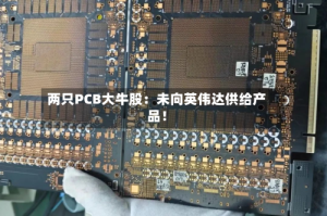 两只PCB大牛股：未向英伟达供给产品！