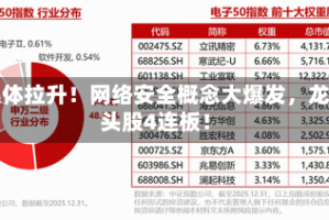 集体拉升！网络安全概念大爆发，龙头股4连板！