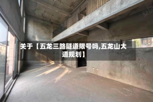 关于【五龙三路隧道限号吗,五龙山大道规划】