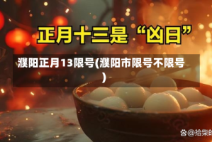 濮阳正月13限号(濮阳市限号不限号)