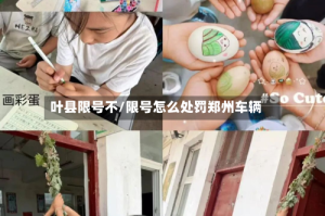 叶县限号不/限号怎么处罚郑州车辆
