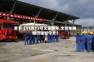 关于【11月12号文安限号,文安车辆限行通知今天】