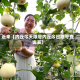近来【内丘今天限号内丘今日限号查询表】