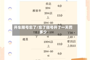 开车限号忘了/忘了限号开了一天罚多少