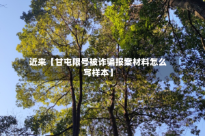 近来【甘屯限号被诈骗报案材料怎么写样本】