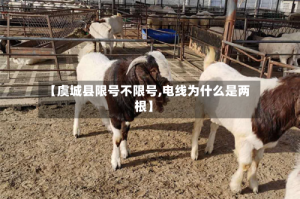 【虞城县限号不限号,电线为什么是两根】