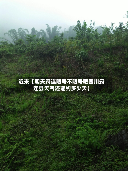 近来【明天筠连限号不限号吧四川筠连县天气还能约多少天】-第3张图片