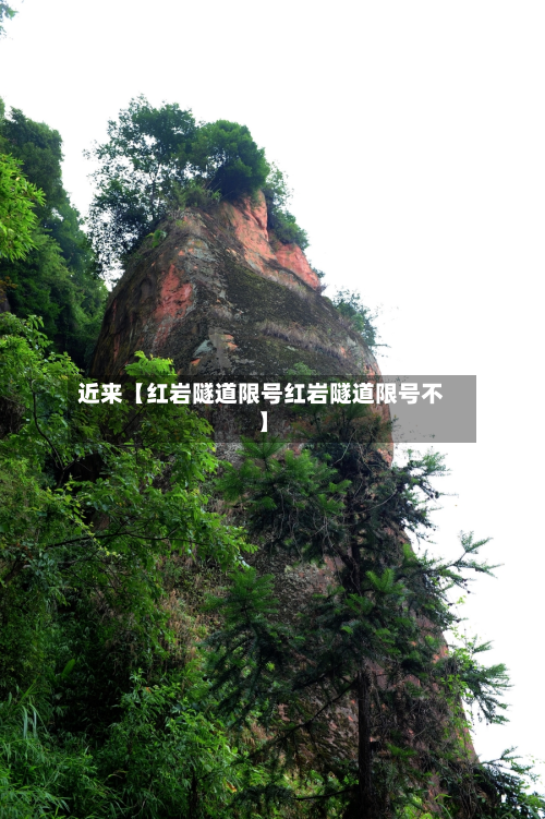 近来【红岩隧道限号红岩隧道限号不】-第1张图片