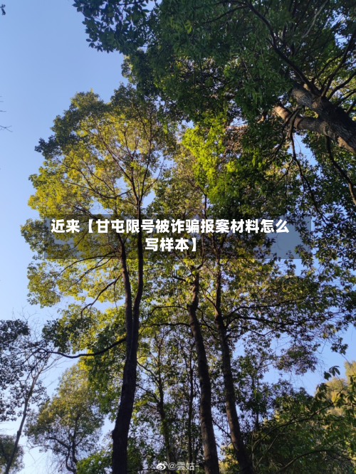 近来【甘屯限号被诈骗报案材料怎么写样本】-第1张图片