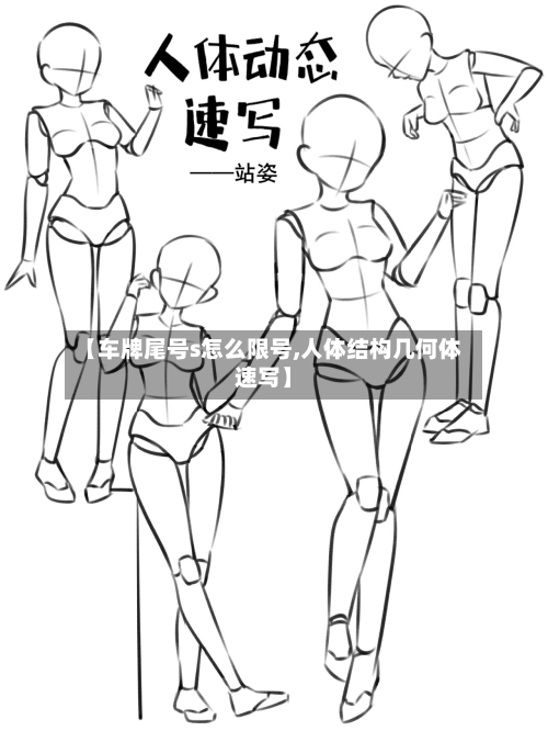 【车牌尾号s怎么限号,人体结构几何体速写】-第1张图片