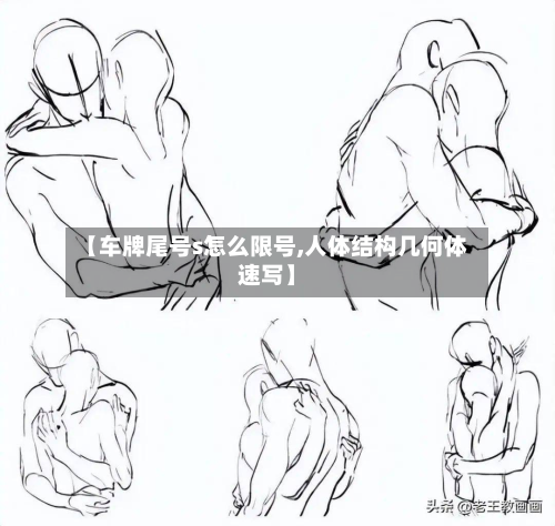 【车牌尾号s怎么限号,人体结构几何体速写】-第2张图片