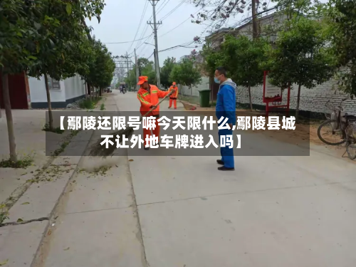 【鄢陵还限号嘛今天限什么,鄢陵县城不让外地车牌进入吗】-第2张图片