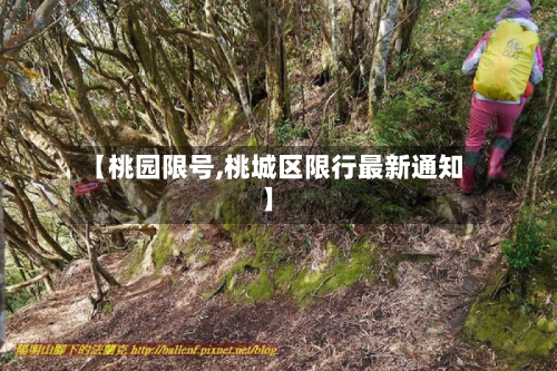 【桃园限号,桃城区限行最新通知】-第1张图片