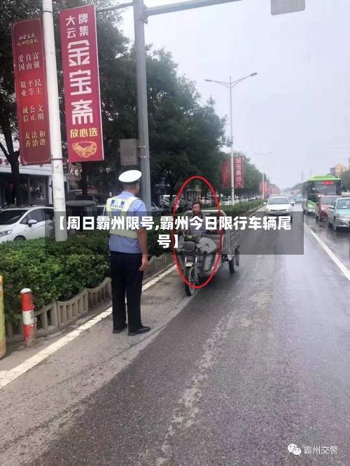 【周日霸州限号,霸州今日限行车辆尾号】-第1张图片