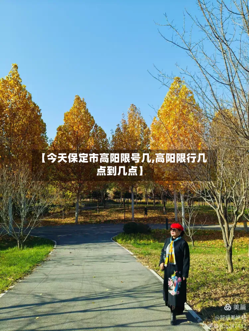 【今天保定市高阳限号几,高阳限行几点到几点】-第2张图片