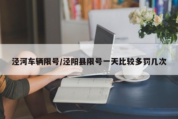 泾河车辆限号/泾阳县限号一天比较多罚几次