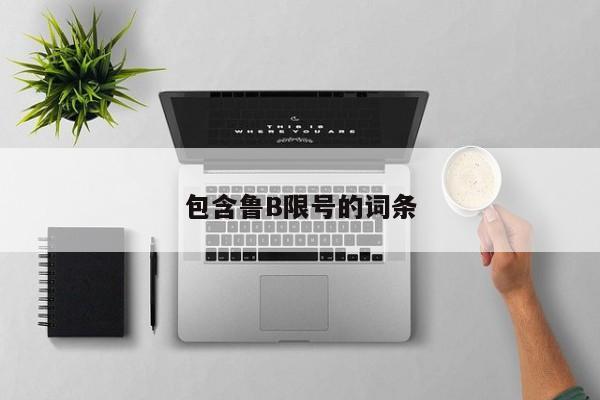 包含鲁B限号的词条