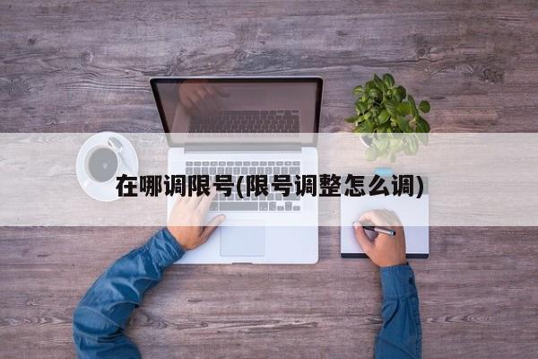 在哪调限号(限号调整怎么调)