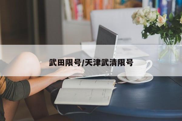 武田限号/天津武清限号