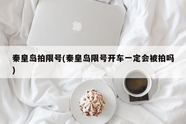 秦皇岛拍限号(秦皇岛限号开车一定会被拍吗)